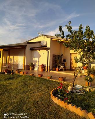 Casa Vacanza "le mimose" collina di tropea
