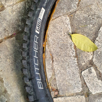 Pneumatici MTB 29 2.3 specialized - maxxis