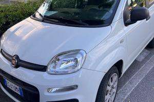 FIAT Panda 3ª serie - 2013