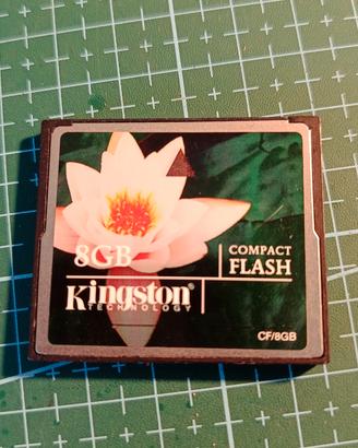 scheda compact flash 8GB