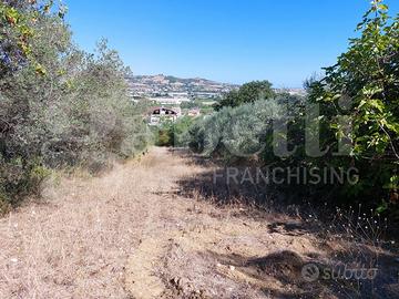 Terreno Agricolo Colonnella [Cod. rif A242VCG]