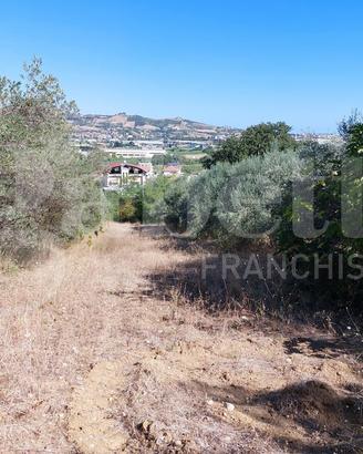 Terreno Agricolo Colonnella [Cod. rif A242VCG]