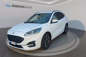 FORD Kuga 1.5 ecoblue st-line 2wd 120cv