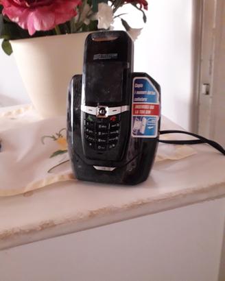 Cordless aladino