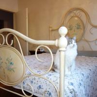 Letto matrimoniale antico in ferro battuto