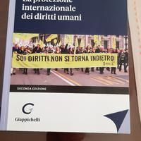 RIASSUNTO LA PROTEZIONE INTERNAZIONALE .....