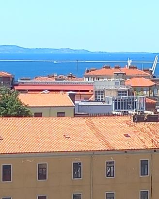 Roiano - Nuda proprietà