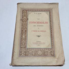 Libro Antico 1890 Maineri Conchiglie del Torsèro