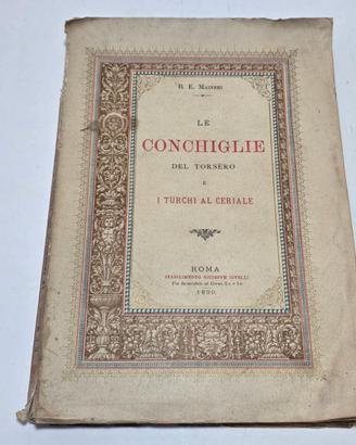 Libro Antico 1890 Maineri Conchiglie del Torsèro