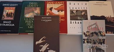 Raccolta libri David Leavitt