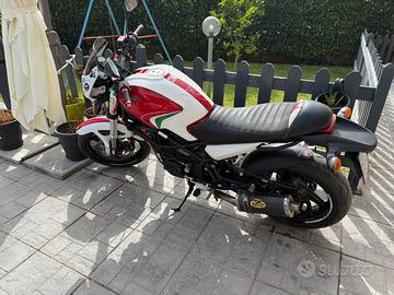 A f f a r e - immediato realizzo -695 ducati