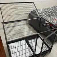 Kennel