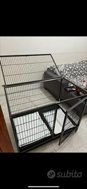 Kennel