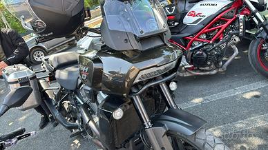 HARLEY DAVIDSON PAN AMERICA 1250