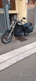 Harley Davidson Sportster 1200 XL R