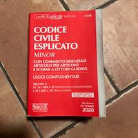 1 libro Codice Civile Esplicato anno 2020