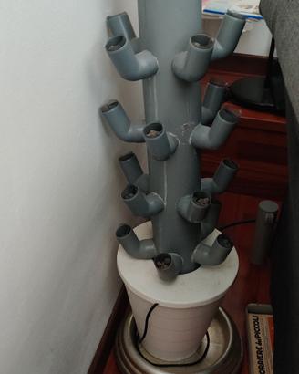 Vaso cultura idroponica