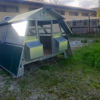 Pollaio del Verde Mondo 50 galline 10 nidi