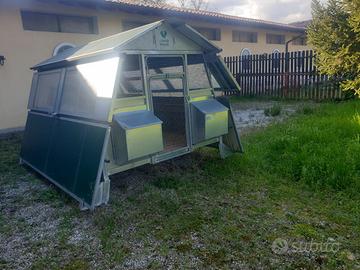 Pollaio del Verde Mondo 50 galline 10 nidi