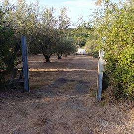 Terreno di 9710 m² a Blera