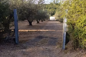 Terreno di 9710 m² a Blera