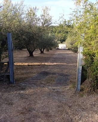 Terreno di 9710 m² a Blera