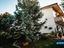 Immagine 19