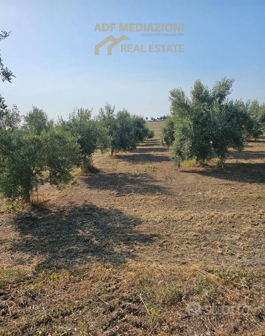 4H.Di Uliveto Con Terreno - Vista 2