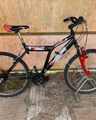 Mountain bike