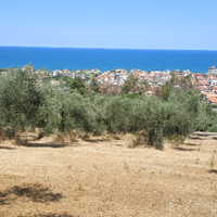 Terreno Edificabile MQ ,1000 + 5500 MQ Area verde