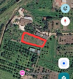 terreno agricolo 