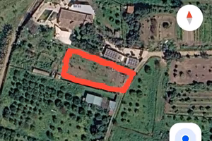 terreno agricolo 