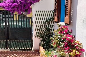 Due casette nel Cortile della Casa di Carta