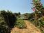 Immagine 29