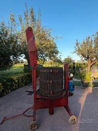 Torchio per uva idraulico motorizzato