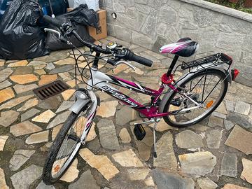 Touring Bike Montana escape