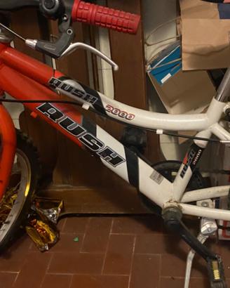 Bicicletta da bambino- bambina rush 2000
