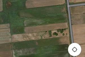 Terreno salto di fondi 7000mq