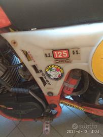 swm 125 conpetizione motore rotax