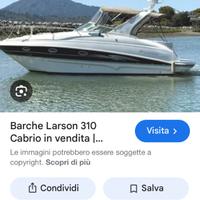 Larson 310cabrio
