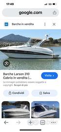 Larson 310cabrio