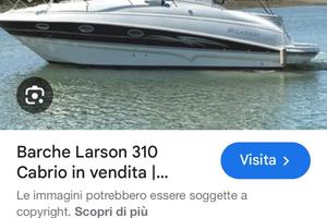 Larson 310cabrio