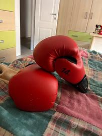 Guantoni da combattimento