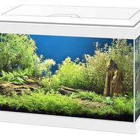 Acquario Askoll 20 litri