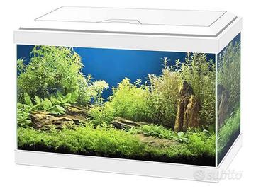 Acquario Askoll 20 litri