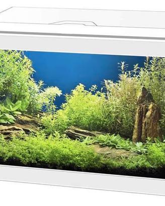 Acquario Askoll 20 litri