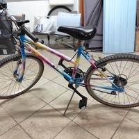 Mountain bike bambino 24"