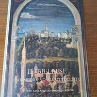 Il Biellese dal medioevo all'ottocento