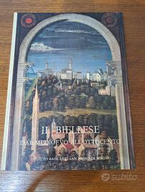 Il Biellese dal medioevo all'ottocento