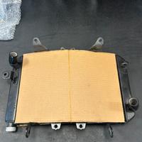 Radiatore Cf Moto Nk 800